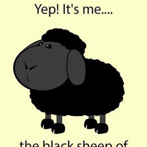 Meet your Posher, Donald